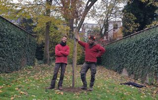 élagueurs à Uccle