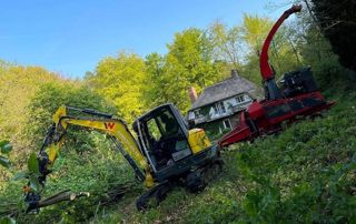 travaux de dessouchage