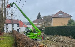 taille d'arbre sur nacelle