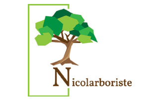 logo Nicolarboriste