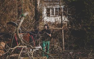 traitement et coupe déchets verts