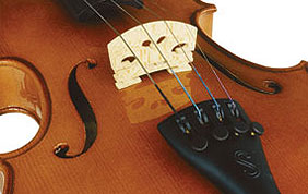 Violon 