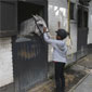 jeune cavalier qui caresse un cheval