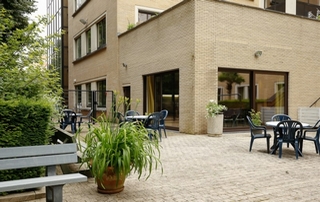 terrasse pavée avec plantes