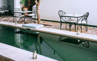 piscine étroite en longueur